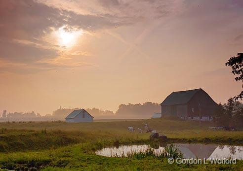 Early Morning Farm_03816-7.jpg - Photographed near Orillia, Ontario, Canada.
